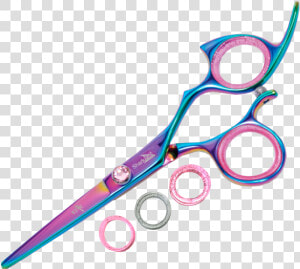 Rainbow Shark Fin Shears  HD Png Download