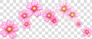  crown  crownflower  flower  flowercrown  cherry  cherryblossom   Flower Emoji Crown Png  Transparent Png