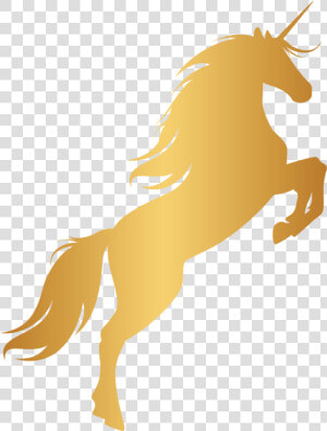 Unicorn Horn Mustang Gold Portable Network Graphics   Transparent Background Gold Unicorn  HD Png Download