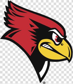 Eagle clip Art bird bald   Illinois State Redbird  HD Png Download