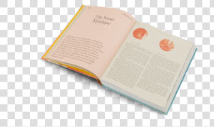 The Essence Class   Book  HD Png Download