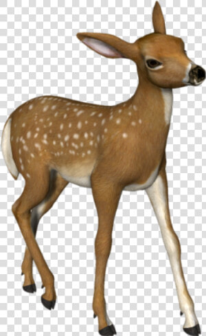 3d Deer Png   Png Deer  Transparent Png