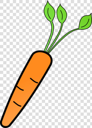 Line Art plant radish  HD Png Download