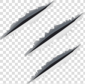 Claw Scratch Png Image   Bullet Holes  Transparent Png