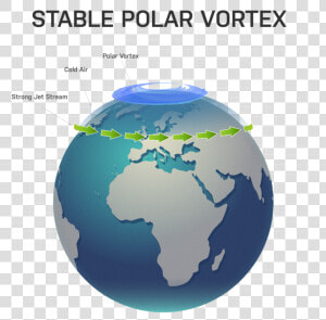 X Polarvortex Stable 1   Bottlenose Dolphin Map  HD Png Download