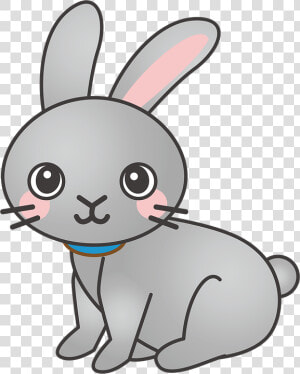 Rabbit  Bunny  Animal  Cute   Gray Bunny Drawing Easy  HD Png Download