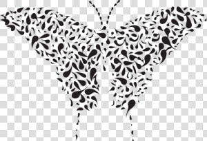 Butterfly Clipart Cat   Portable Network Graphics  HD Png Download