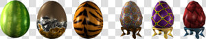 Winning Entries   Leaf Beetle  HD Png Download