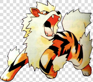 Pokemon Arcanine  HD Png Download