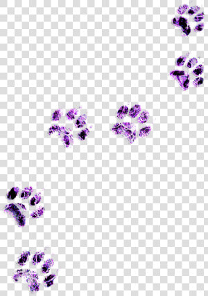 Footprints Freetoedit   Floral Design  HD Png Download