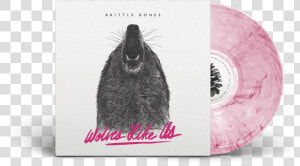 Wolves Like Us Brittle Bones  HD Png Download