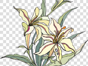 Transparent Lillies Clipart   Clip Art  HD Png Download