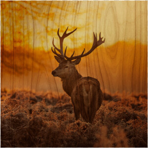 Wood Wall Art prints  HD Png Download