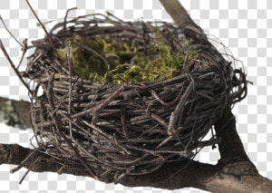 Bird S Nest  Nest  Easter Nest  Easter Decoration   Nido De Pajaros Png  Transparent Png