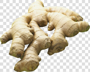 Ginger Png Image   Ginger With Transparent Background  Png Download