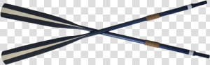 Networking Cables  HD Png Download