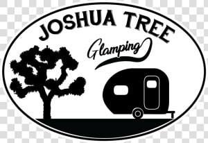 Joshua Tree Png  Transparent Png