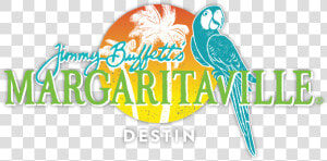 Margaritaville  HD Png Download