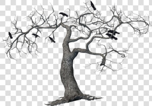 Crows On Tree Png Transparent  Png Download