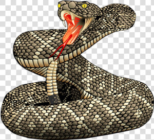 Rattle Snakes   Png Download   Realistic Snake Clipart  Transparent Png