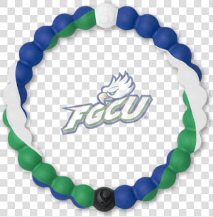 Florida Gulf Coast™ Lokai  HD Png Download