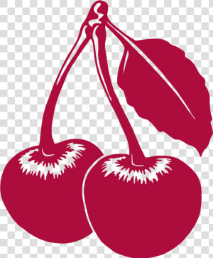 About 7 000 Cherries Grow On A Single Cherry Tree  HD Png Download
