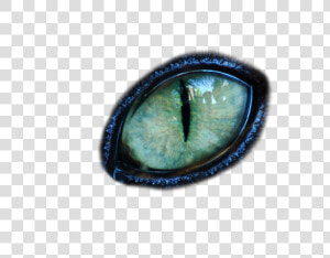 Reptile Eye Png   Transparent Cat Eye Png  Png Download