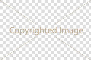 Watermark Png Page   Imagine Cup 2011  Transparent Png