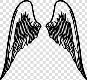 Angel Wings Tattoo Svg Clip Arts   Cartoon Angel Wings Transparent Background  HD Png Download
