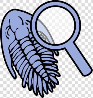 Fossils Clip Art  HD Png Download