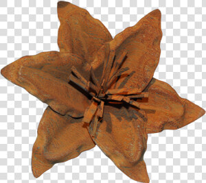 Clematis  HD Png Download