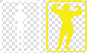 Bodybuilding  HD Png Download