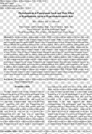 Document  HD Png Download