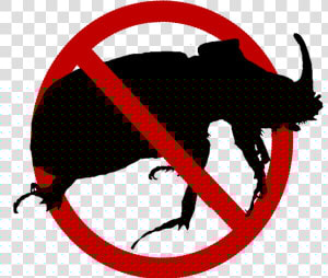 Guam Coconut Rhinoceros Beetle  HD Png Download