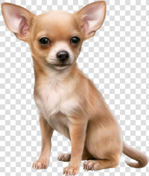 Chihuahua Clipart Cute Chihuahua   Chihuahua Clipart  HD Png Download