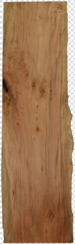 Front side Of Maple Live Edge Slab   Plywood  HD Png Download