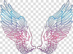  angelwings  drawing  colorful   Hour Glass With Wings  HD Png Download