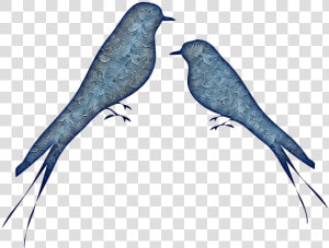 Birds Abstract  Pretty Bluebirds  Large Resizable   Bird  HD Png Download