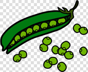 Green Beans Food Clipart   Beans Clipart  HD Png Download