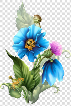Centerblog Flowers  HD Png Download