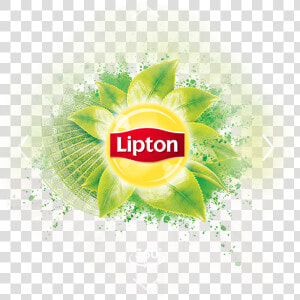 Lipton Case Study Logo   Lipton Matcha Logo  HD Png Download