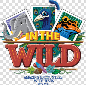 4c Master English   Im The Wild Vbs  HD Png Download