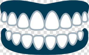 Dentures   Prostodoncia Png  Transparent Png