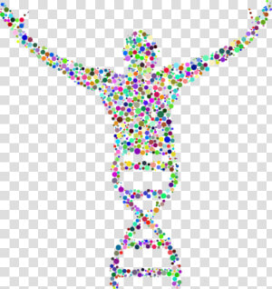 Human Genome Project  HD Png Download