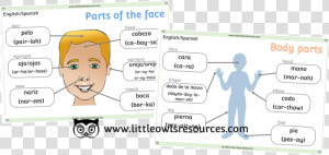 Face And Body Parts Cover   Face Parts In Malay  HD Png Download
