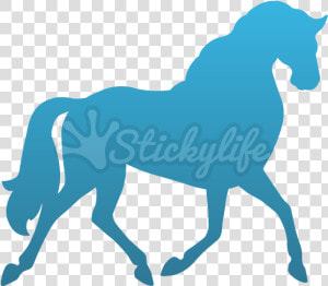 Horse Temporary Tattoo   Cart Before The Horse Gif  HD Png Download