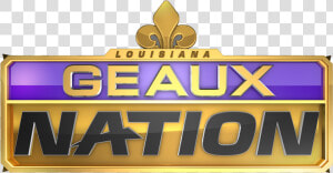 Nfl Scout Full Conversation On Lsu Vs Ucf In The Fiesta   Illustration  HD Png Download
