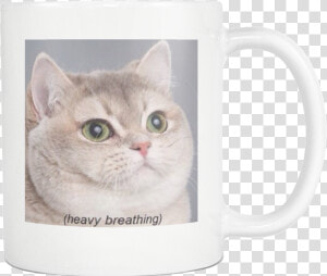 Heavy Breathing Cat Meme  HD Png Download