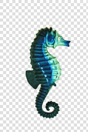 Cavalo Do Mar Png  Transparent Png