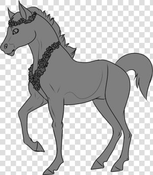 Foal  HD Png Download